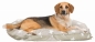 Preview: 36374_Trixie_Kissen_Stars_Zwaergehuesl