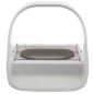 Preview: 627286_Sureetcare_Sure_Feed_Mikrochip_Futterautomat_1_Zwaergehuesli-Shop.png