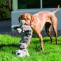 Preview: 939602_Kong_Jumbo_Stretchezz_3_Zwaergehuesli-Shop.jpg