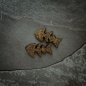 Preview: Canagan/010041_canagan-softies-salmon-dog_Zwärgehüsli-Shop.png