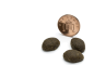 Preview: GG2_GG12_Canagan_country_game_2_Zwaergehuesli-Shop.png