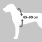 Preview: T12857_Trixie_Auto_Hundegeschirr_Zwaergehuesli-Shop.jpg