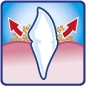Preview: bogar_bogadent_anti_plaque_Finger_Anwendung_2_Zwärgehüsli-Shop