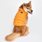 Preview: papd-jm1670_Puppia_ultralight_vest_7_Zwaergehuesl-Shop.jpg