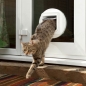 Preview: sureflap_microchip_Katzenklappe_weiss_3_Zwaergehhuesli-Shop.jpg