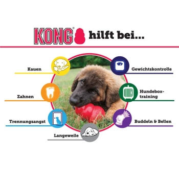 Preview: 99750_Kong_Classic_2_Zwaergehuesli-Shop.jpg