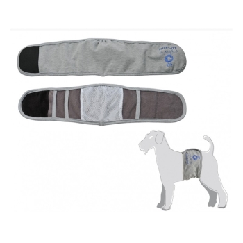 Diverse/Camon_Hundewindel_Zwärgehüsli-Shopjpg.jpg