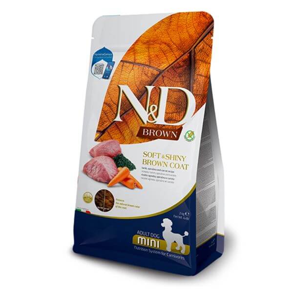 katzen trockenfutter junior Insect food for kittens & young cats