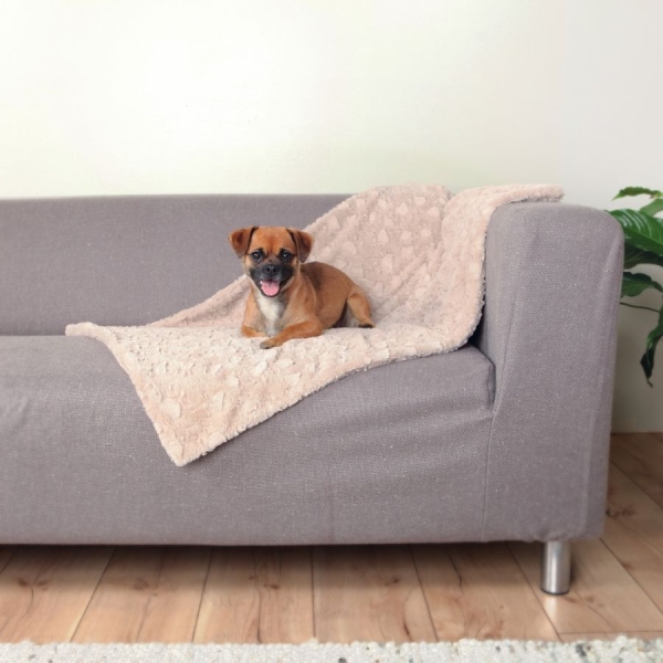 Hundedecke Cosy