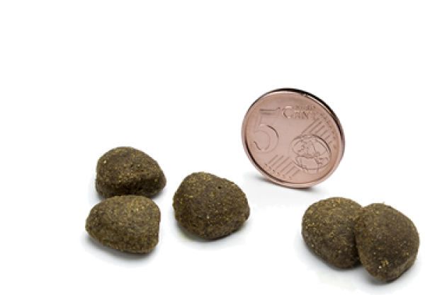 GS2_Canagan_salmon_Zwaergehuesli-Shop.png-Shop.png