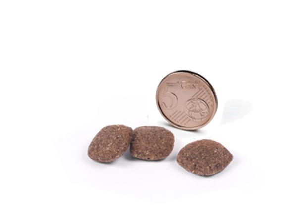 GML2_GML12_Canagan_grass_fed_lamb_2_Zwaergehuesli-Shop.png