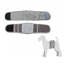 Diverse/Camon_Hundewindel_Zwärgehüsli-Shopjpg.jpg